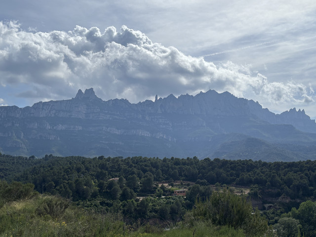 IMG-1763