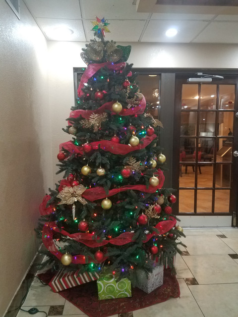 20181226 213210.jpg