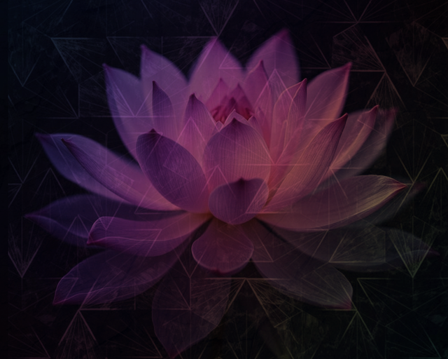 Untitled (1).png