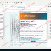 Siemens g PROMS Process 2025 2