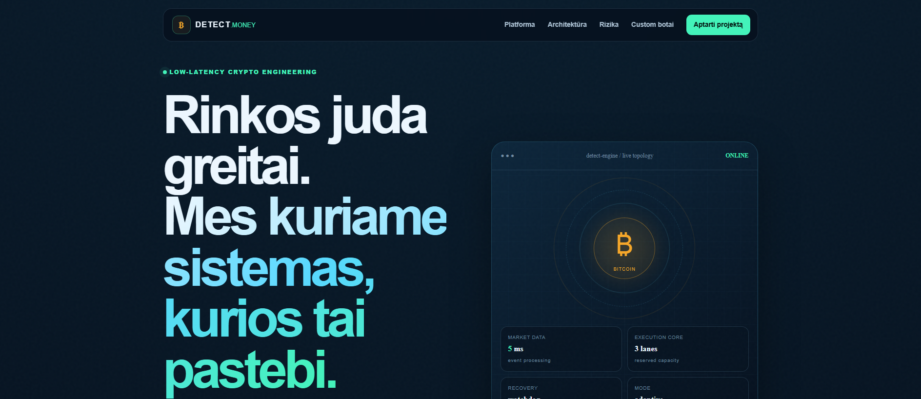 Stored capture of detect.lt