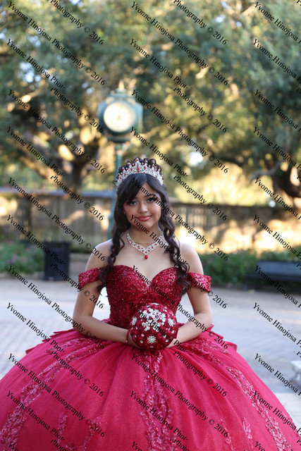 IMG 2031