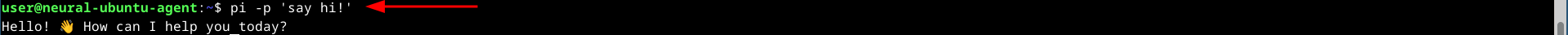 21-pi-check.png