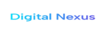 DigitalNexus Logo