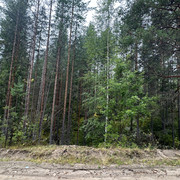 IMG 4955