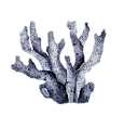 Element26.png
