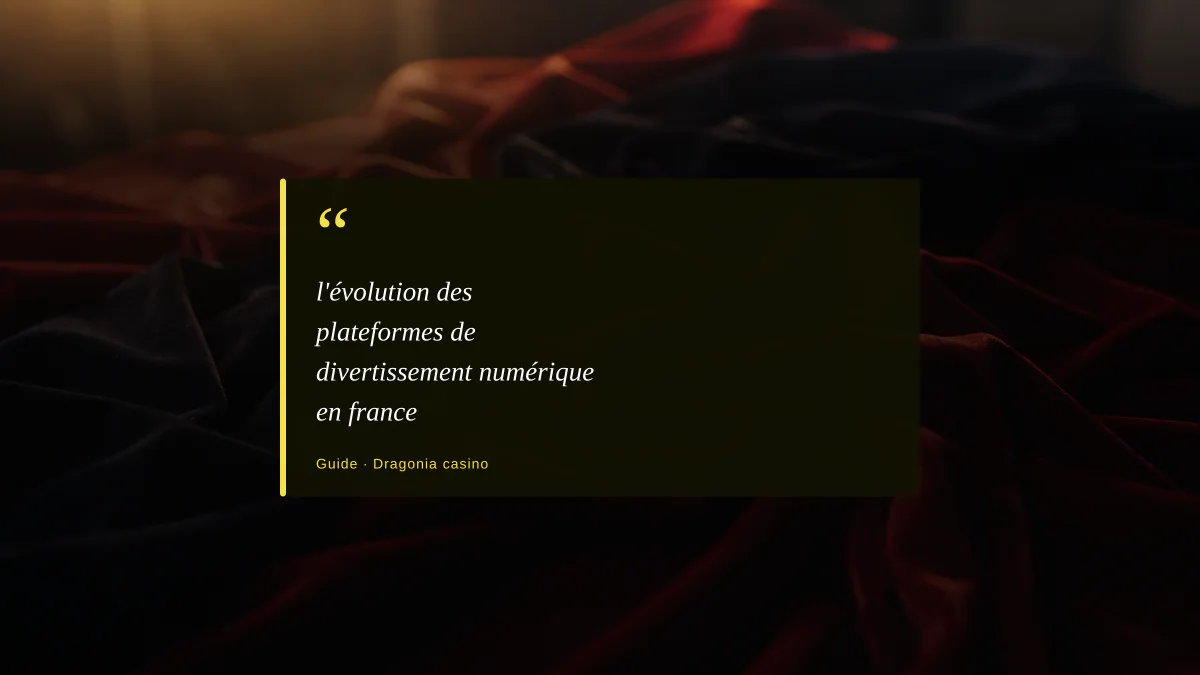 l'évolution des plateformes de divertissement numérique en france