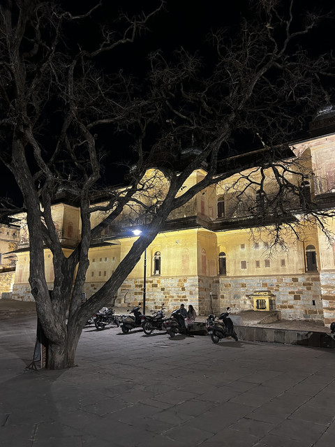 jaipur real image
