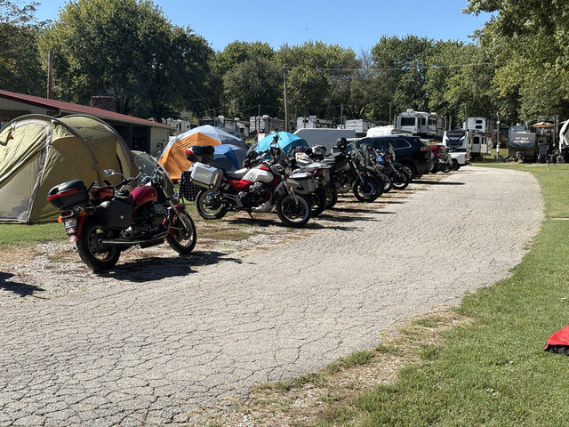IMG 0310