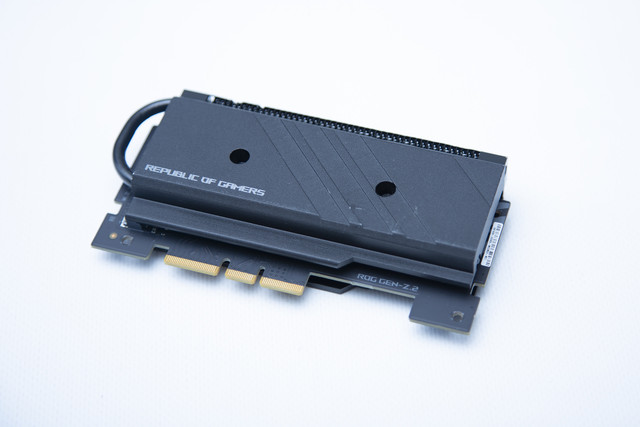 5D3 6331.jpg