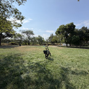 IMG 7967