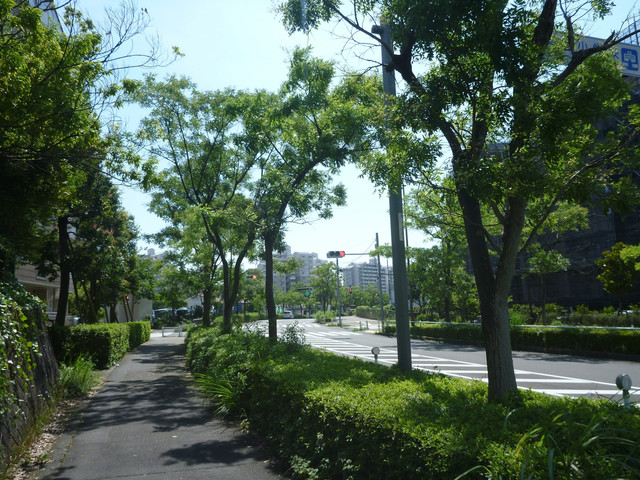 P1330429