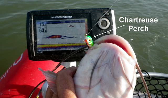 CHARTREUSE-PERCH
