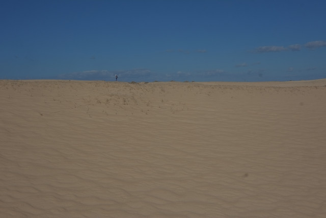 DSCF8565.jpg