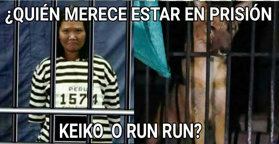 KEIKO-RUN-RUN.jpg