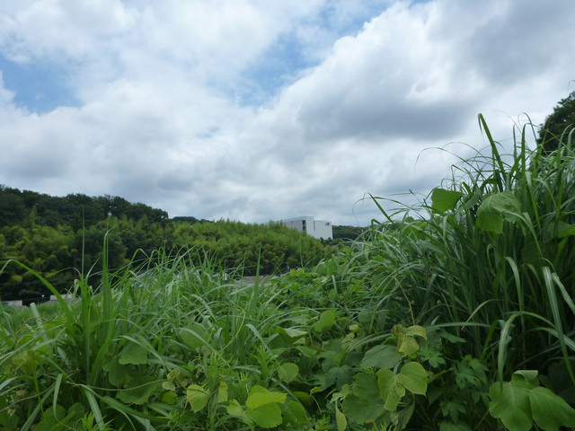 P1320420.jpg