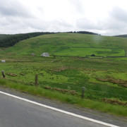 DSCF7927
