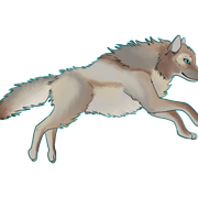 fluffy6