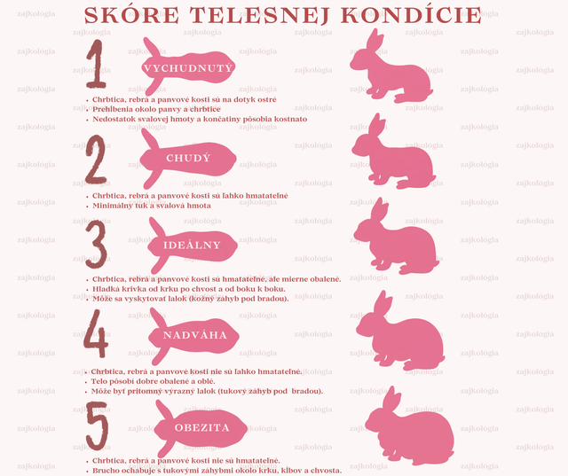 skóre telesnej kondície králika