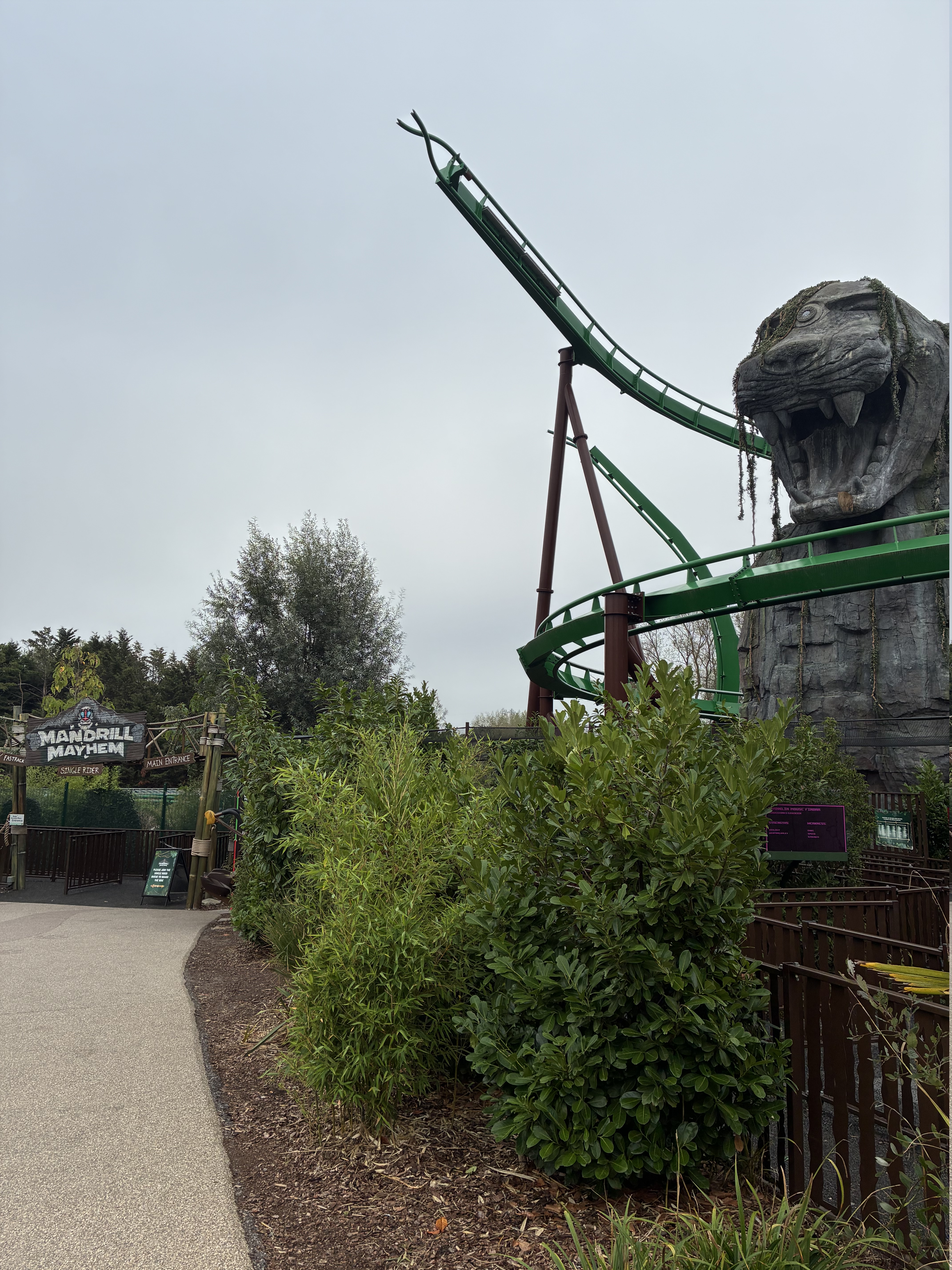 IMG-2324.jpg