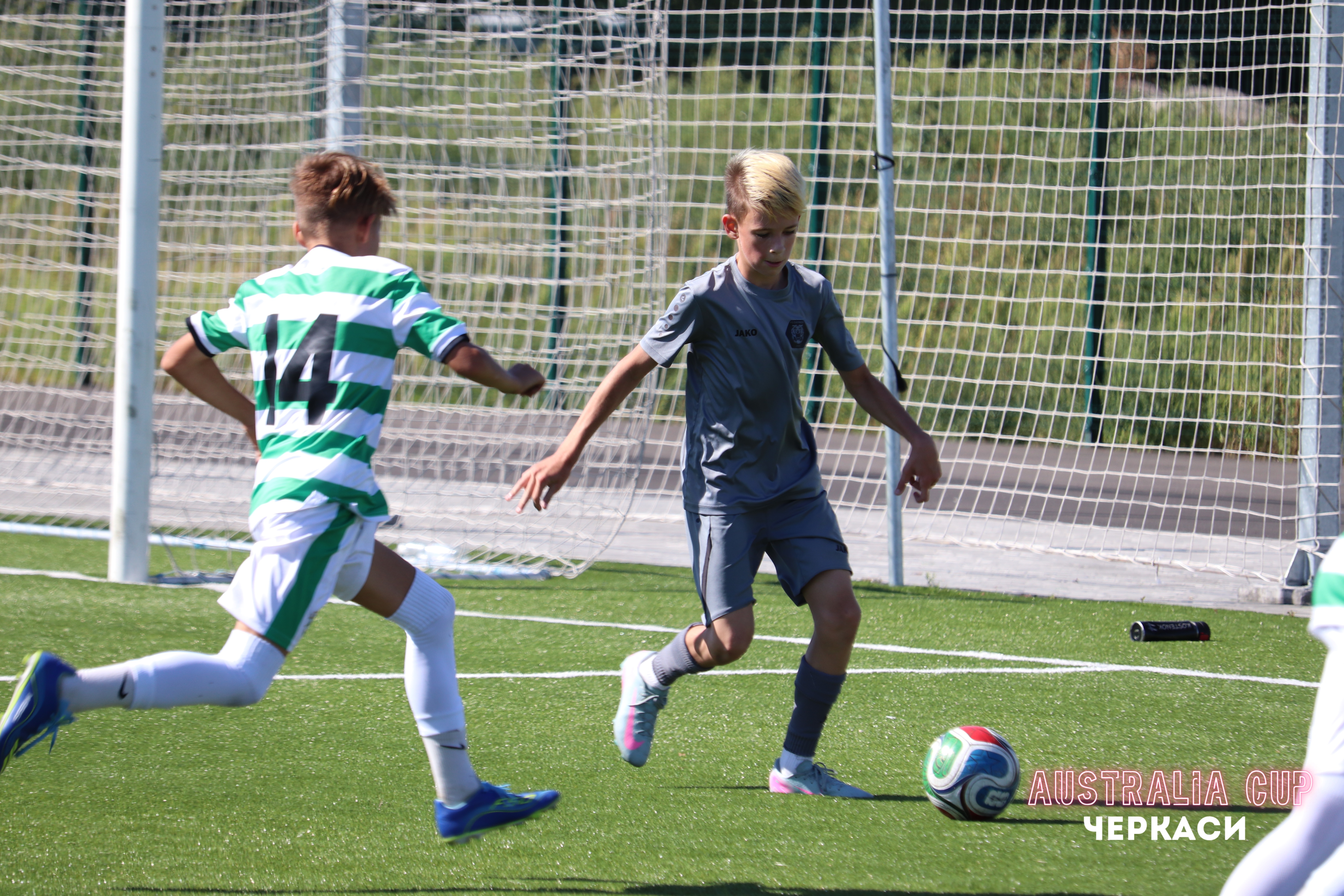 IMG 4774 (1)