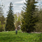 DSC01736