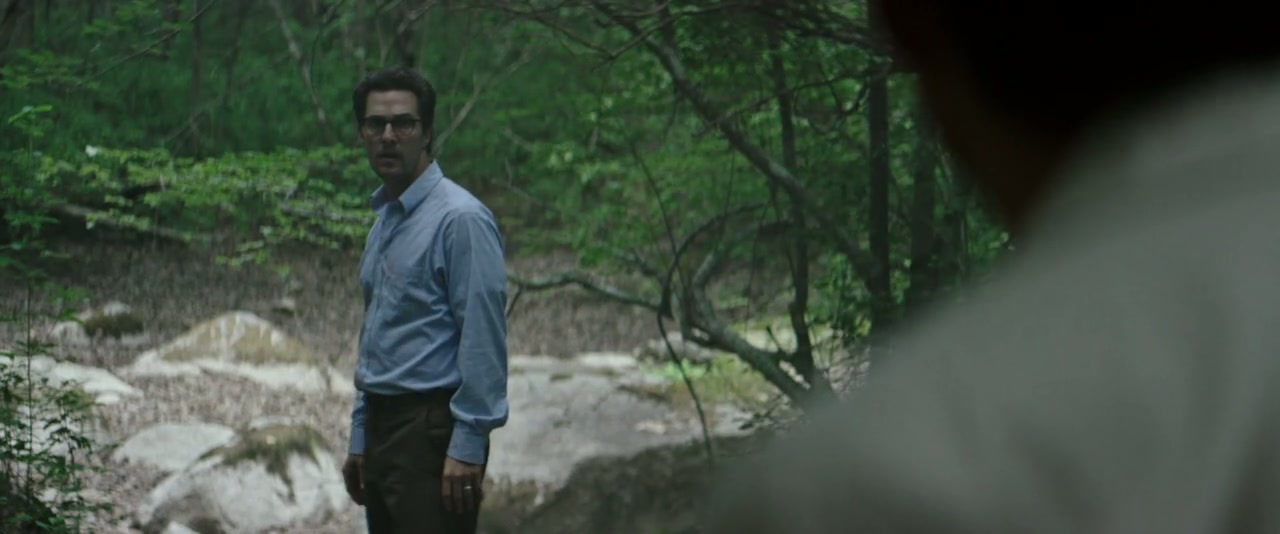The Sea of Trees Screenshot