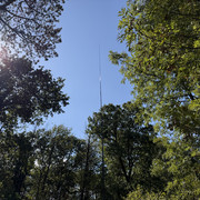 IMG 3447