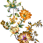 f3e133d39c8bf029a00933829ba54bca