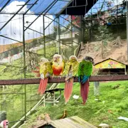 Agro Market23