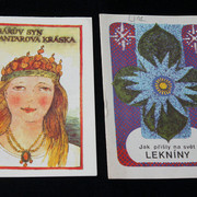 IMG-2542
