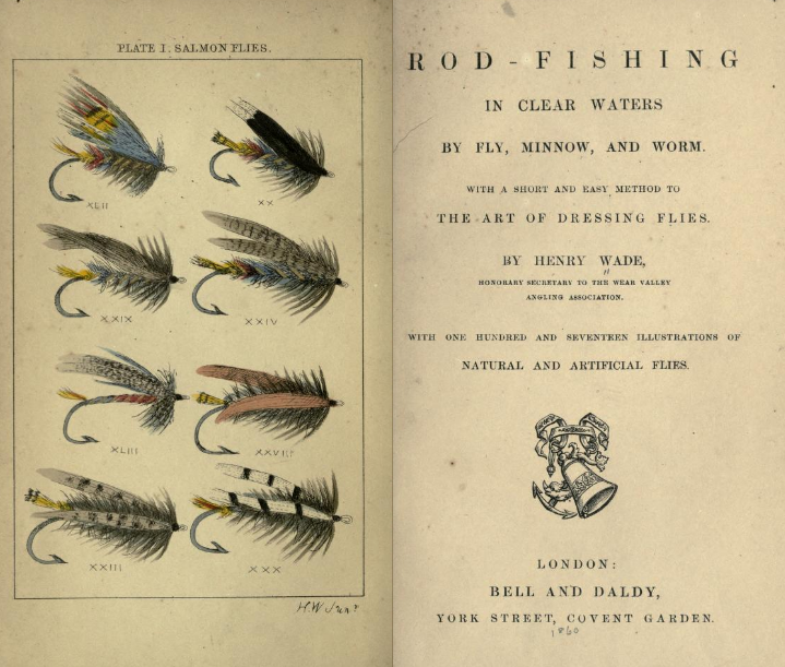 rod-fishing