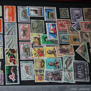 IMG-1982