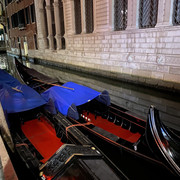 IMG-3787