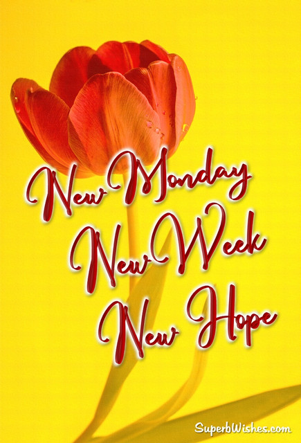 Monday-21