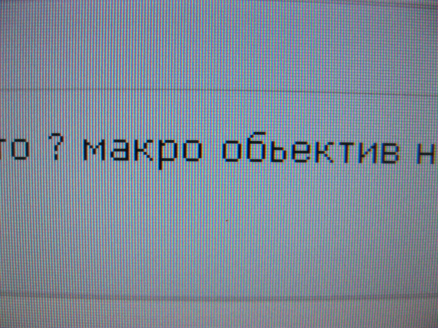 IMG-0337