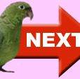 NEXT