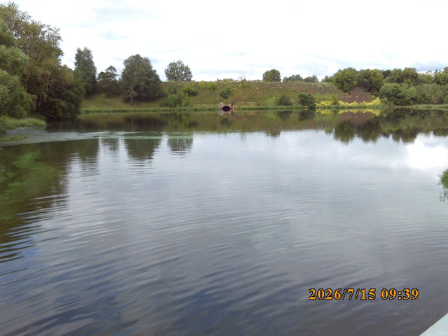 540.jpg