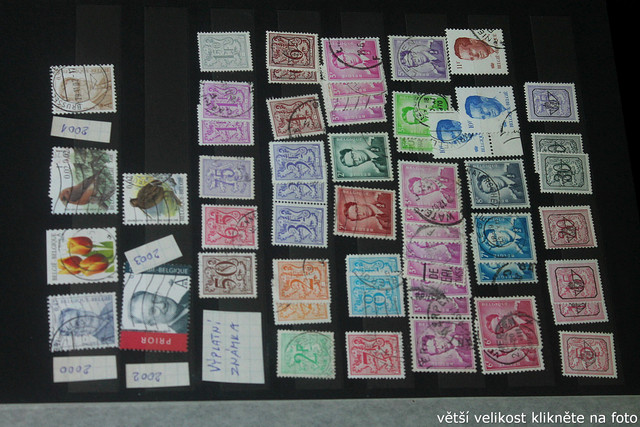 IMG-3451.jpg