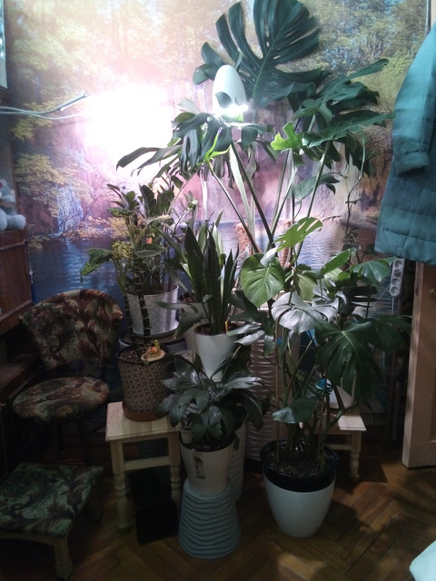 IMG-20240218-190852.jpg