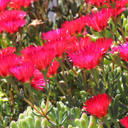 IMG-7704