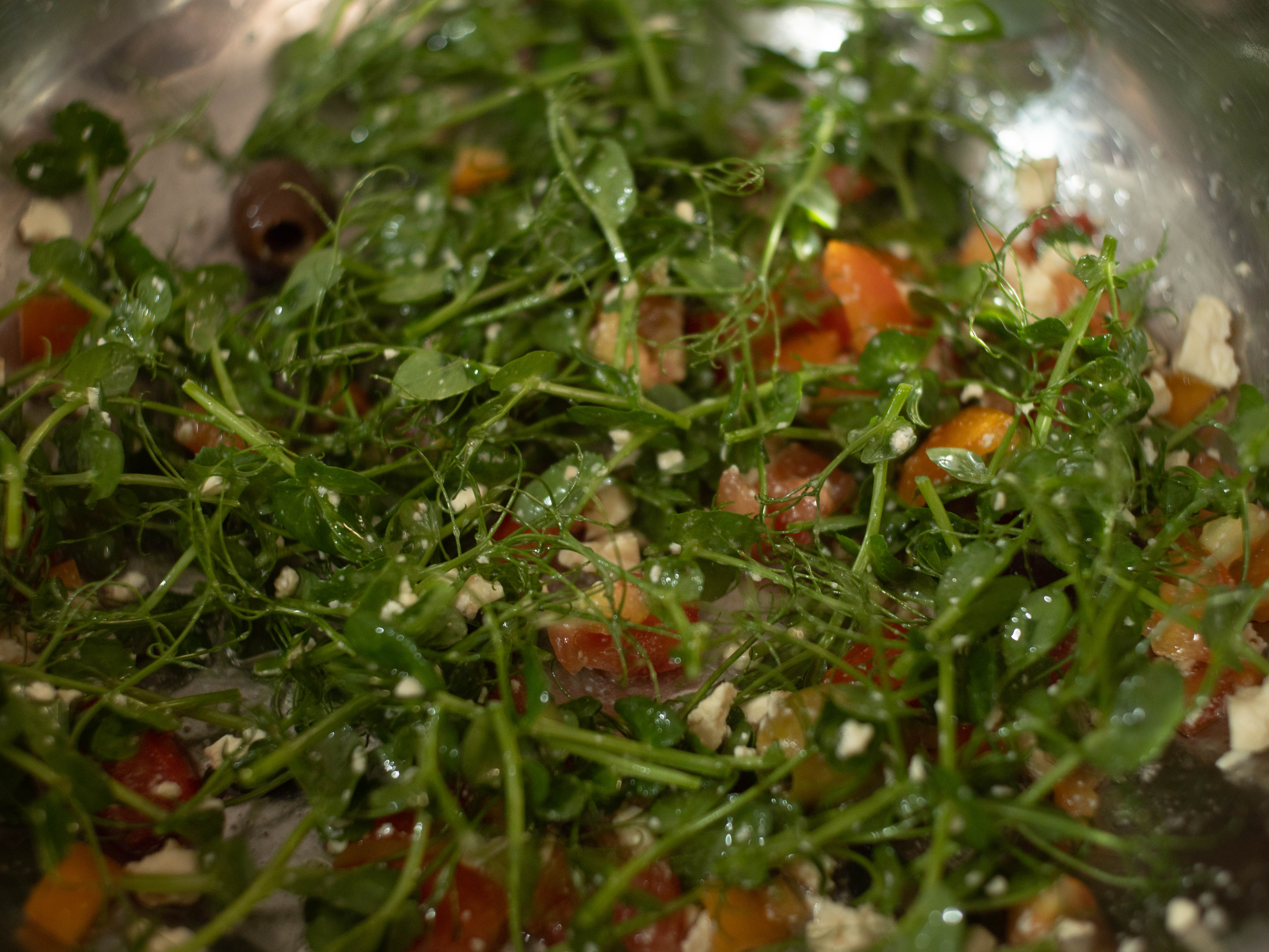 Salad