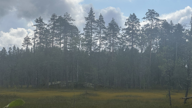 IMG 4573.jpg