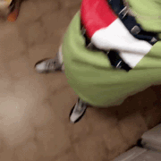 IMG 1248.gif