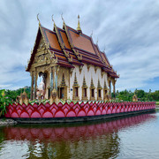 IMG-1486