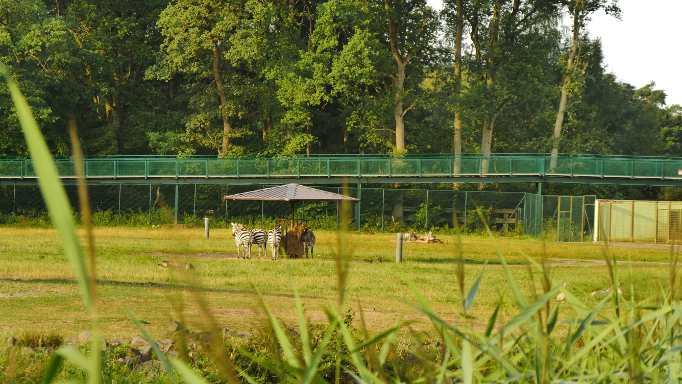 Serengeti-Park / Серенгети-Парк и кусочек Касселя