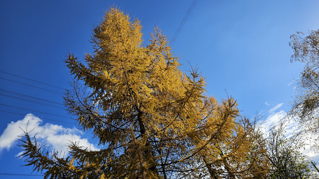 20261009-122956.jpg
