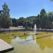 comp IMG 7137