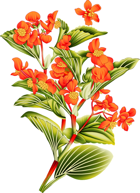 435c1150afb28ad50d91c346e3c5bb75.png