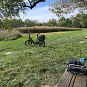 IMG 4561